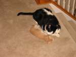 IMG_1852.JPG