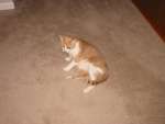 IMG_1908.JPG