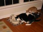 IMG_2075.JPG