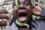 snake_coming_out_nose.jpg